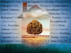 A graphic image of a tree in the outline of a house. There are words surrounding the home of contaminants that affect our indoor air quality, such as carbon monoxide, smoking, mold, and radon.